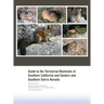 Guide to the Terrestrial Mammals of Southern California and Eastern and Southern Sierra Nevada