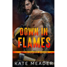 Down in Flames (a Hot in Chicago Rookies Novel)