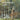 Jack Wilkinson Smith: Paintings