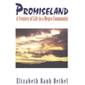 Promiseland: A Century of Life in a Negro Community