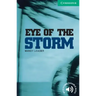 Eye of the Storm Level 3