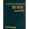 The Developing Brain: Birth to Age Eight
