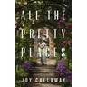 All the Pretty Places: A Novel of the Gilded Age