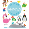 Can You Spot? - Animals