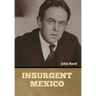 Insurgent Mexico
