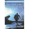 The Clue in the Missing Plane