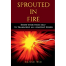 Sprouted In Fire: Know your true self to transcend all comfort zones
