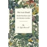 The Low Road - Hardy Heathers and the Heather Garden