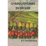 Gymnosperms in Sikkim