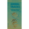 Animal Tracks: A Folding Pocket Guide to the Tracks & Signs of Familiar North American Species