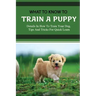 What To Know To Train A Puppy: Details In How To Train Your Dog, Tips And Tricks For Quick Learn: How To Stop Your Puppy From Biting Things