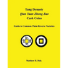 Tang Dynasty Qian Yuan Zhong Bao Cash Coins: Guide to Common Plain-Reverse Varieties