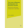 The Limits of Business Development and Economic Growth: Why Business Will Need to Invest Less in the Future