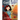Carol the Color Czar