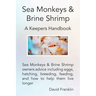 Sea Monkeys & Brine Shrimp: Sea Monkeys & Brine Shrimp Owners Advice Including Eggs, Hatching, Breeding, Feeding and How to Help Them Live Longer