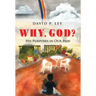 Why, God? His Purposes in Our Pain