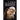 The Lost Mayan