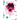 Magenta Fleurs