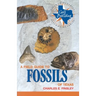 A Field Guide to Fossils of Texas
