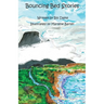 Bouncing Bed Stories