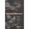 Primitive Rebels or Revolutionary Modernizers: The Kurdish Nationalist Movement in Turkey