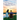 The Summer of Mended Hearts