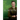 J. L. Austin: Philosopher and D-Day Intelligence Officer