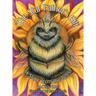 The Star Father's Gift: A Story from the Bees