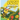 Lucy the Careful Bee