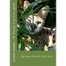 Exotic Cat Care guide: African Serval Cat care