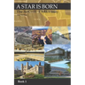 A Star Is Born-The Archie Early Story- 2nd Edition: Book 1 of 3