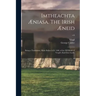 Imtheachta Æniasa. The Irish Æneid; Being a Translation, Made Before A.D. 1400, of the XII Books of Vergil's Ænid Into Gaelic; v.6