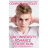Gay University Romance Collection: 3 Sweet Gay University Romance Novellas