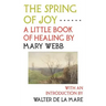 The Spring of Joy: A Little Book of Healing