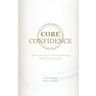 Core Confidence: Own Your Talent - Face Your Fear - Create Your Future