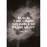 Black Unicorns: Invisible in Plain Sight