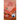 The Other Realm