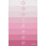 Introspectrum