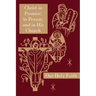 Christ in Promise, in Person, and in His Church: Our Holy Faith Series