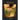 Litplan Teacher Pack: Touching Spirit Bear