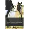 Horse Grooming and Braiding