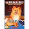 Teddy (the Puppy Place #28)