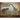 Dinosaur Archives