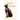 Fifteen Lives and a Cat's Story