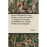 Nature's Wonderful Living Family in Earth, Air and Sea - A Collection of Articles on Wildlife from a Classic Children's Encyclopedia