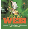 Stuck in a Web! Food Webs vs Food Chains Consumers, Producers and Decomposers Grade 6-8 Life Science