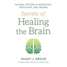 Secrets of Healing the Brain