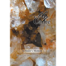 My Cadre: A Healer's Memoir