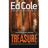 Treasure: Uncovering Principles That Govern Success