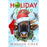 Holiday Rider-Discreet Cover: A Second Chance Cowboy Romance